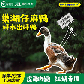 蛋鲜森 巢湖仔麻鸭 1只装/2只装