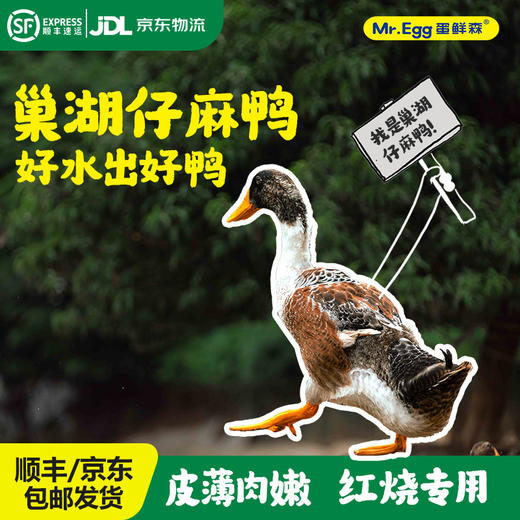 蛋鲜森 巢湖仔麻鸭 1只装/2只装 商品图0