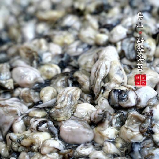 【闹妈海鲜】新鲜热气牡蛎肉 不泡水，现挖现卖 400g/盒 商品图3
