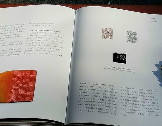 《寿山石珍》，16开，软精装，刘强著，浙江人民美术出版社2023年一版一印，336页，定价328，售价258元。 商品图13