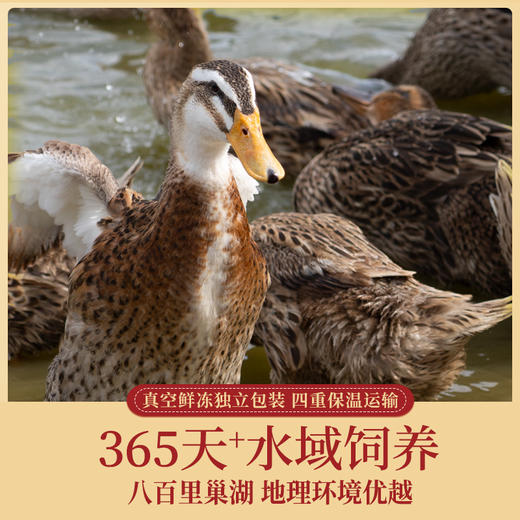 蛋鲜森 巢湖老麻鸭 1只装 商品图1