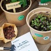 作物生长盆栽产品系列 商品缩略图6