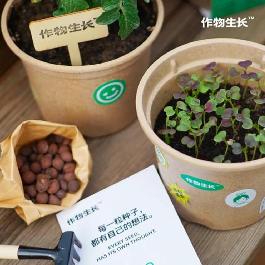 作物生长盆栽产品系列 商品图6