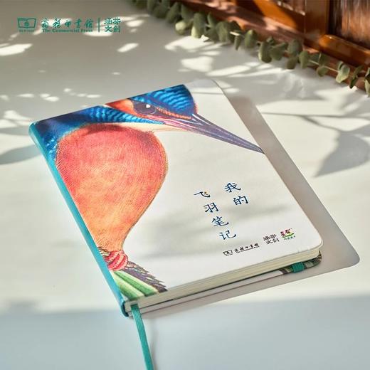 【商务印书馆涵芬文创】科普笔记本（1本） 商品图6