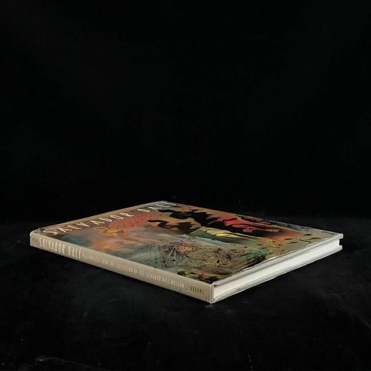 达利画集 数百幅彩色插图 精装大16开 商品图1
