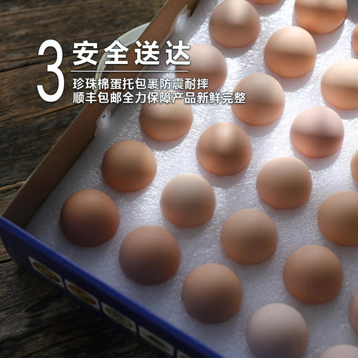 蛋鲜森 金奖肥西土鸡蛋30枚 1200g 商品图4