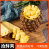 【洽鲜果直发】海南金钻凤梨 4.5-8斤无眼削皮即食新鲜采摘产地直发！ 商品缩略图0