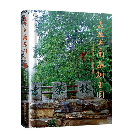 走进云南茶树王国 商品图0