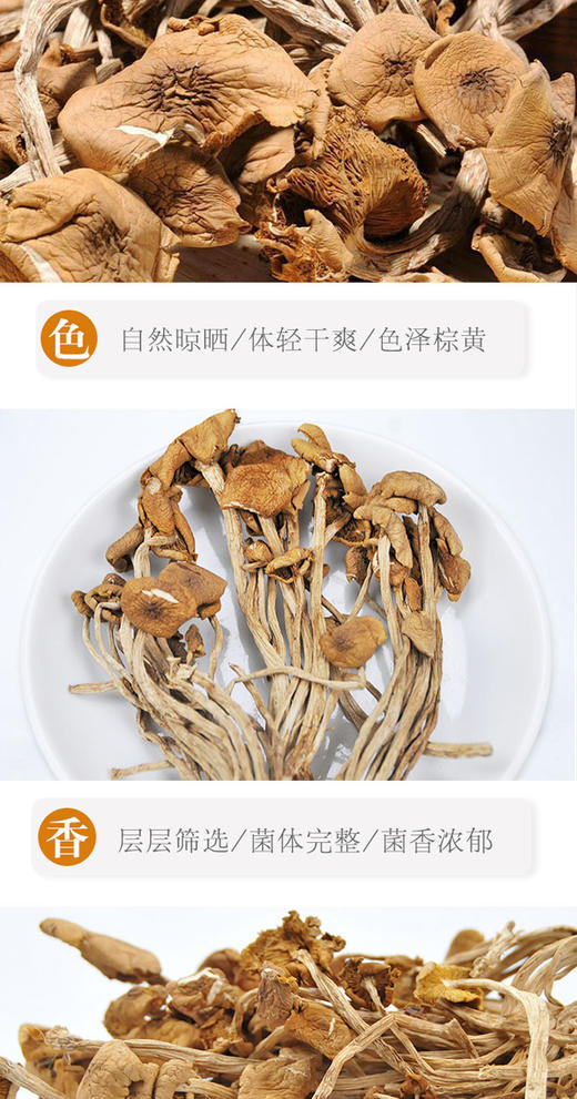 BQT恩施茶树菇200g/袋 商品图3