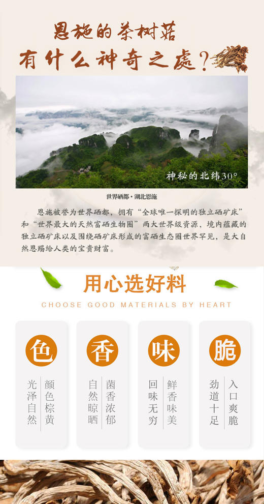 BQT恩施茶树菇200g/袋 商品图2