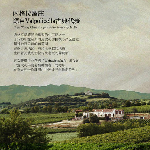 【连续4年荣获7项荣誉】勒普雷尔阿玛罗尼红葡萄酒 意大利阿玛罗尼DOCG 15%vol 商品图8