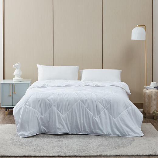 罗莱LOVO 佳美抗菌蚕丝被VQS-2020-5 商品图2