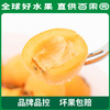 PAGODA百果园 米易枇杷（大）5斤彩箱装 商品缩略图5