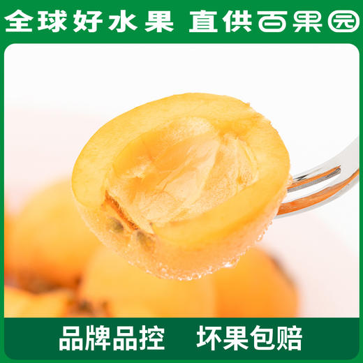 PAGODA百果园 米易枇杷（大）5斤彩箱装 商品图5