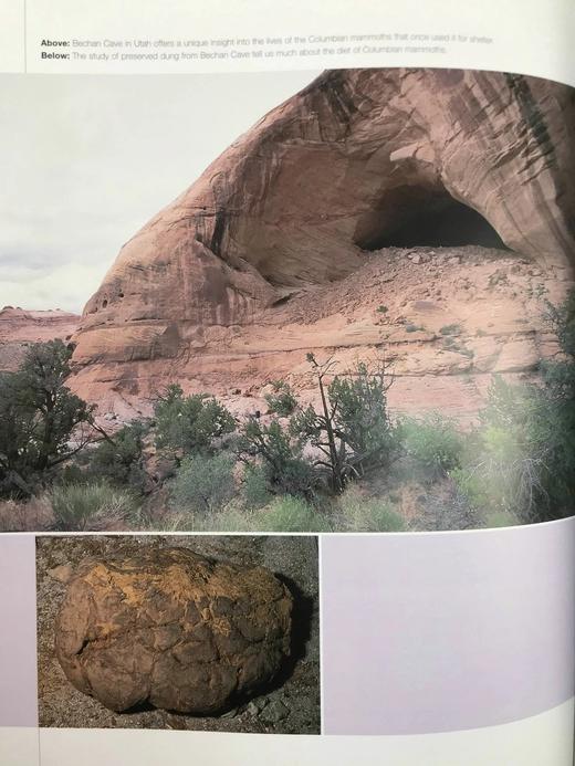 史前美国：穿越冰河时代及其后的旅程 约百幅插图 精装16开 商品图11