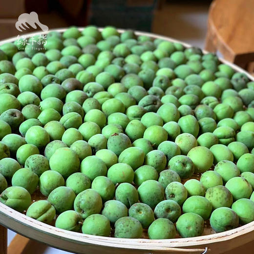 生态青梅| 合作生产 * Eco-friendly Rice Cake | Partner Production 商品图2