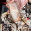 【闹妈海鲜】 [热气]舟山东海大鱿鱼 物美价廉，各种规格任选 商品缩略图0
