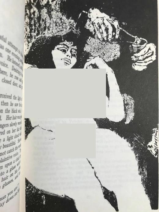 高尔基《间谍》 8幅插图 苍鹭出版社（HeronBooks）复古仿皮精装本 商品图5