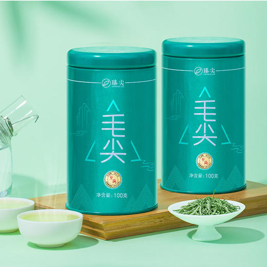 【臻尖-毛尖至尚】明前嫩芽毛尖绿茶茶叶100g*2罐 商品图1