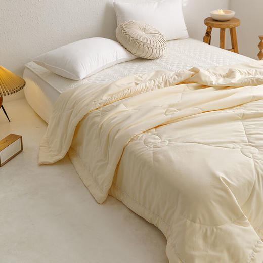 红秀世纺 香妃绵羊绒纤维被  200*230cm 商品图4