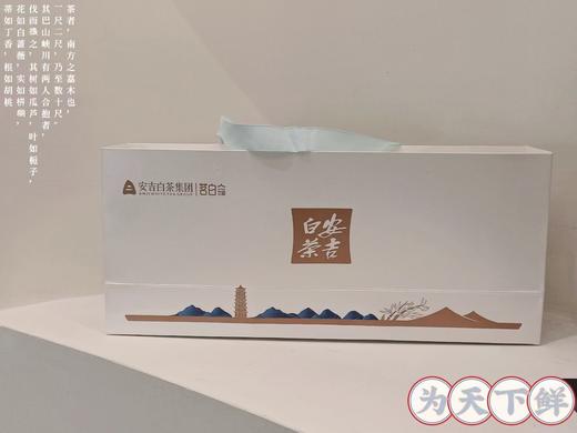 【2026·安吉白茶】精选350礼盒（5gx20包） 商品图1