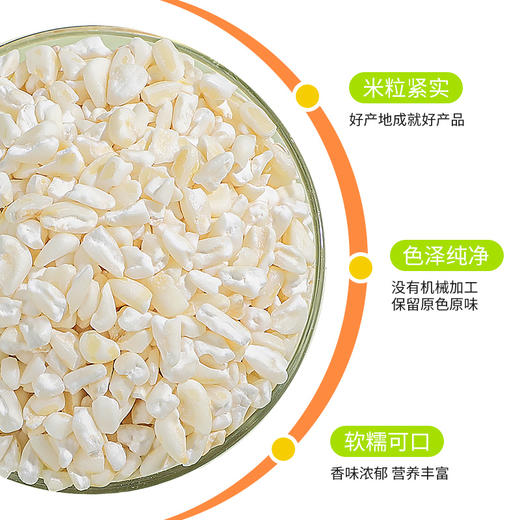 袋鼠小布白糯玉米碴子800g/罐  精选优质原料 口感香糯 营养健康 粗粮佳品 速食方便 商品图1