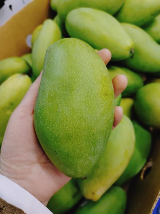 青芒四斤 商品图0