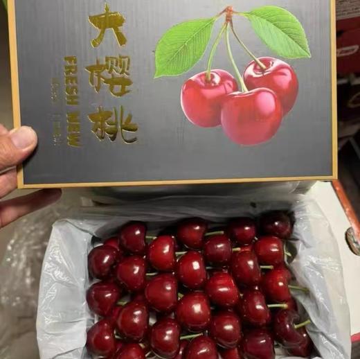 大连 美早樱桃 礼盒装 净重0.9kg 商品图0