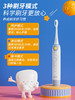 幸运星电动牙刷替换刷头四只装 商品缩略图2