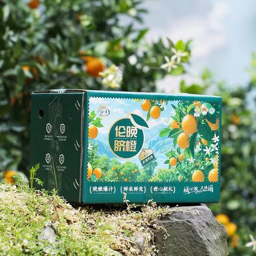 【秭归·伦晚橙】当季鲜果 皮薄肉厚 口口爆汁 橙香浓郁 甜度高 无农残 不催熟 现摘现发 精选大果果径70-85mm 商品图5