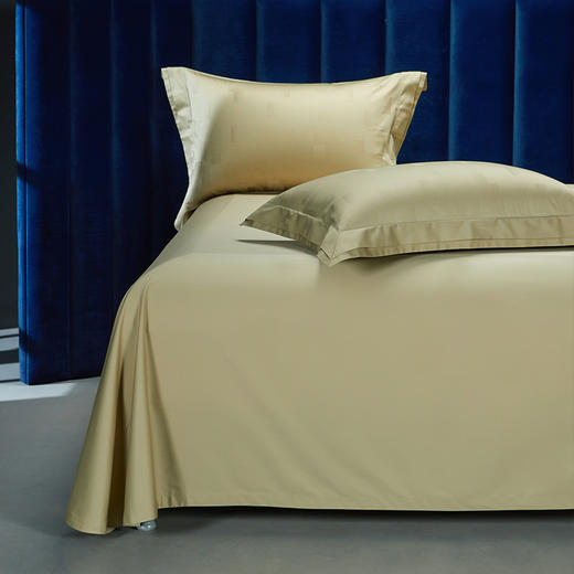 【春上新】10楼 安睡宝 长绒棉色织提花四件套-德里克 吊牌价4599-4899元 活动价1799-1999元 商品图1