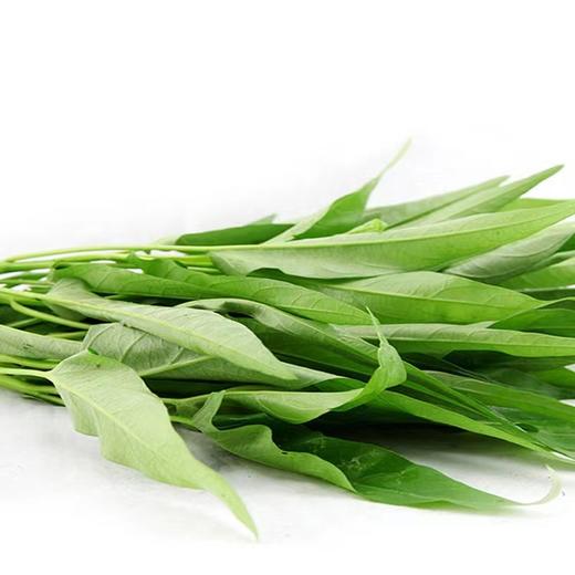 空心菜（约500g) 商品图1