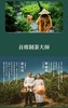 懂茶帝﹣裕荣香2018年散茶有机冬片白茶150g 商品缩略图1