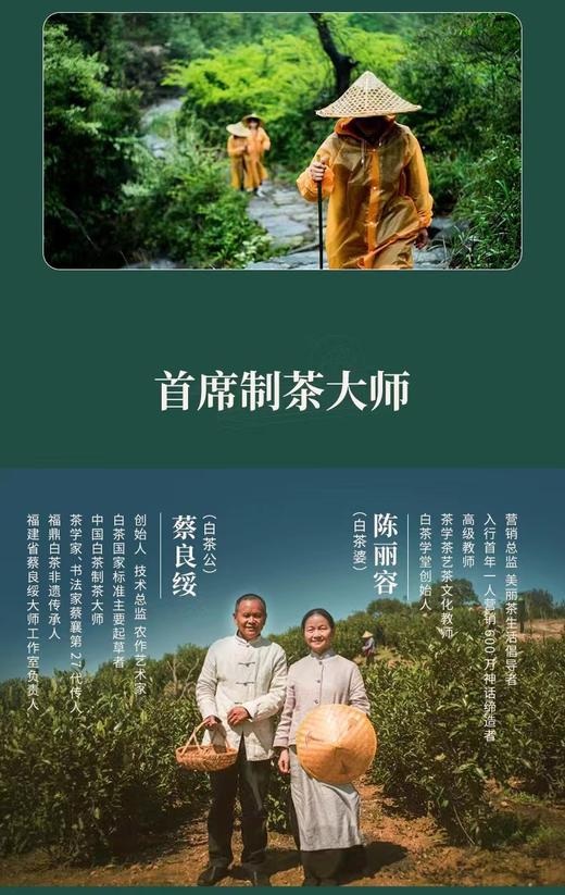 懂茶帝﹣裕荣香2018年散茶有机冬片白茶150g 商品图1