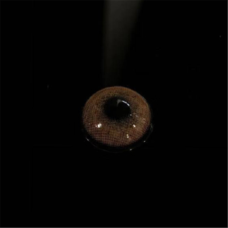 新宿棕实拍 (4).jpg