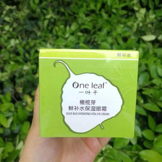 一叶子橄榄芽鲜补水保湿眼霜-4532 商品图3