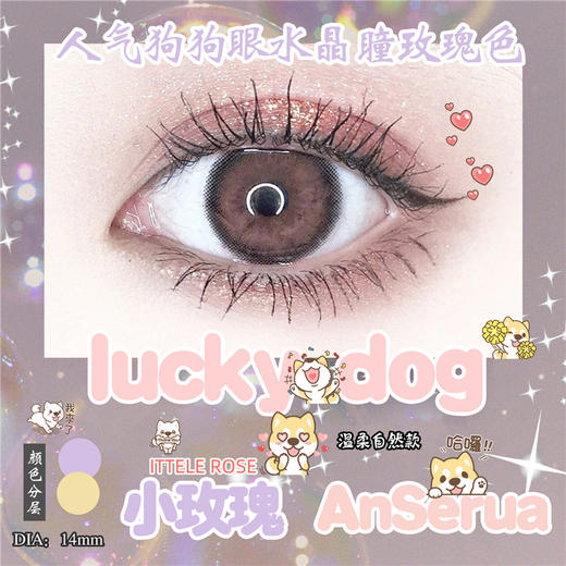 AnSerua安视彩 Lucky Dog小玫瑰 年抛直径14.0mm日常美瞳 粉棕色 商品图2