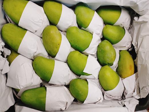 青芒四斤 商品图2