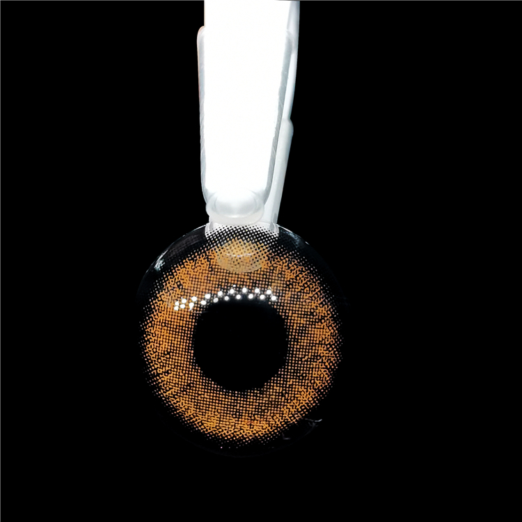 安安赤棕-jp- (7).jpg