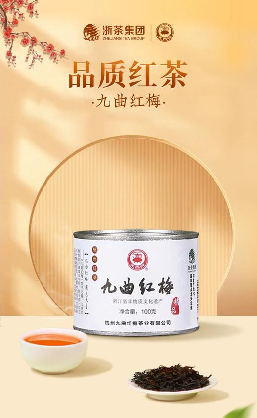 九曲红梅·精品 特级（清明）单罐 茶叶 商品图0