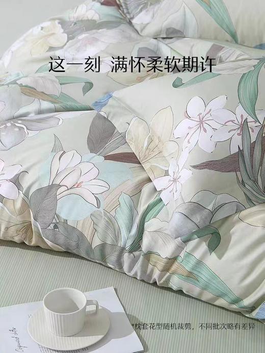 水星家纺全棉四件套纯棉套件卧室床单被套床上用品 商品图3