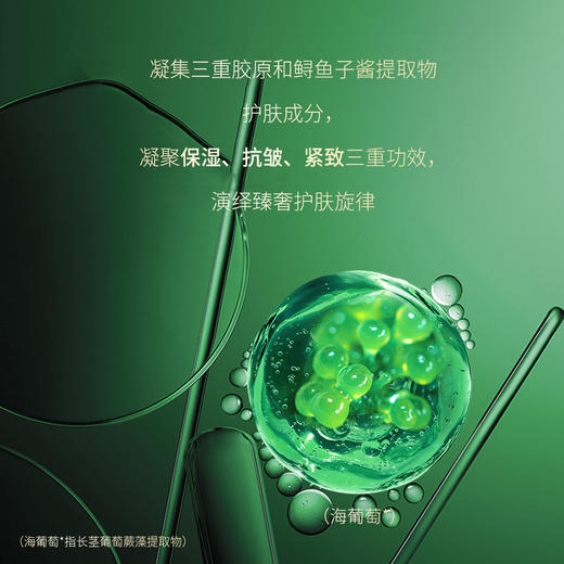 柏肤源 绿鱼子胶原逆龄抗皱鱼皮面膜套盒 商品图4