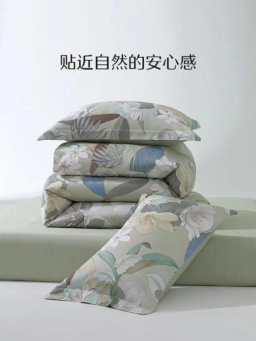 水星家纺全棉四件套纯棉套件卧室床单被套床上用品 商品图5