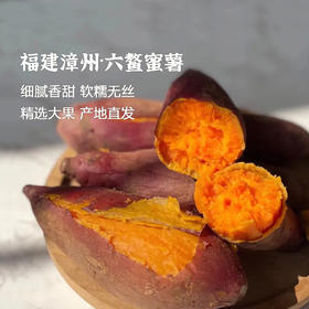 枝悦 福建六鳌蜜薯 山芋糖心蜜薯 软糯无丝 产地直发 72小时发货（果蔬生鲜签收24小时内保留完整包装面单可售后，超时不予理赔，拍下默认接受）