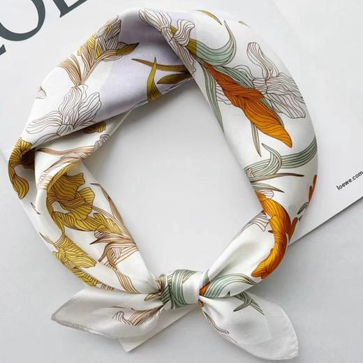 XL-AL669540860861真丝小方巾丝巾妈妈桑蚕丝丝绸秋冬款洋气时尚围巾女新款发带领巾 商品图3