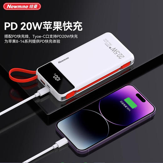 纽曼带线快充移动电源P170 商品图1
