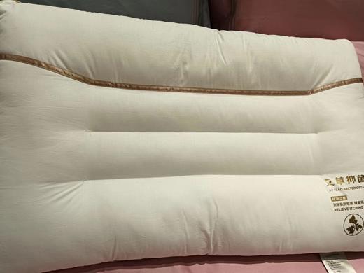 4F晋帛家纺 艾草抗菌枕 商品图0