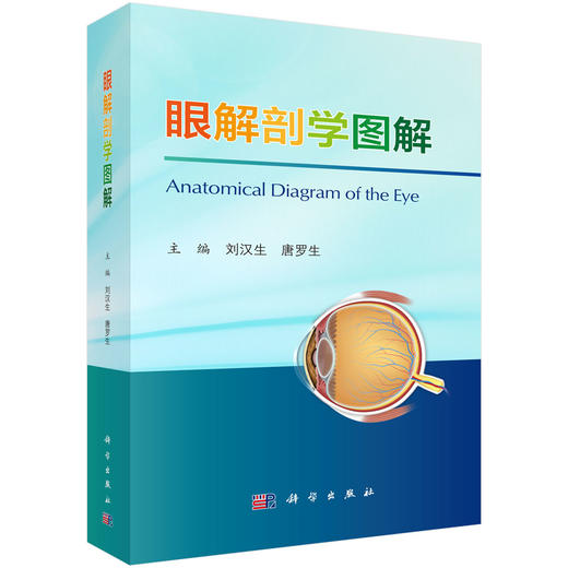 眼解剖学图解 商品图0