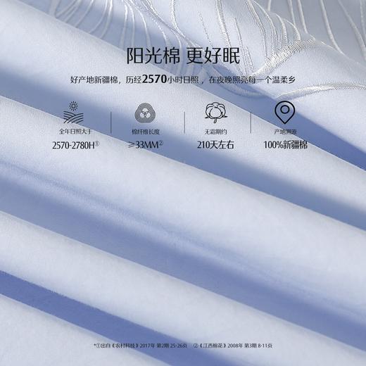 水星家纺全棉三/四件套60s柔软透气绣花清新花卉AB双版床上用品 商品图3