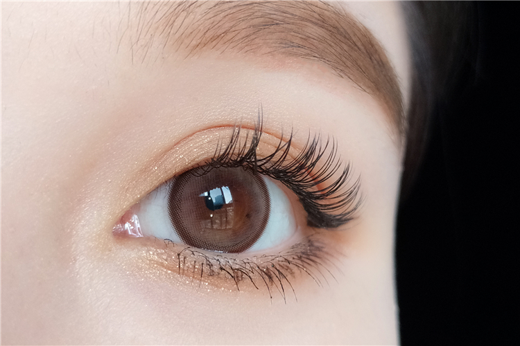 21_G397BROWN (1).jpg